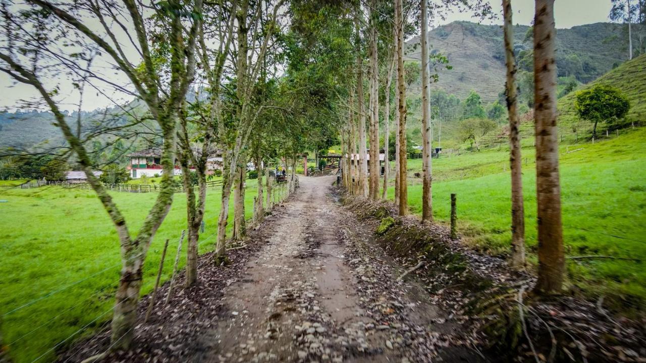 Finca La Playa Ecohotel - Experiencia Campestre - سالنتو المظهر الخارجي الصورة
